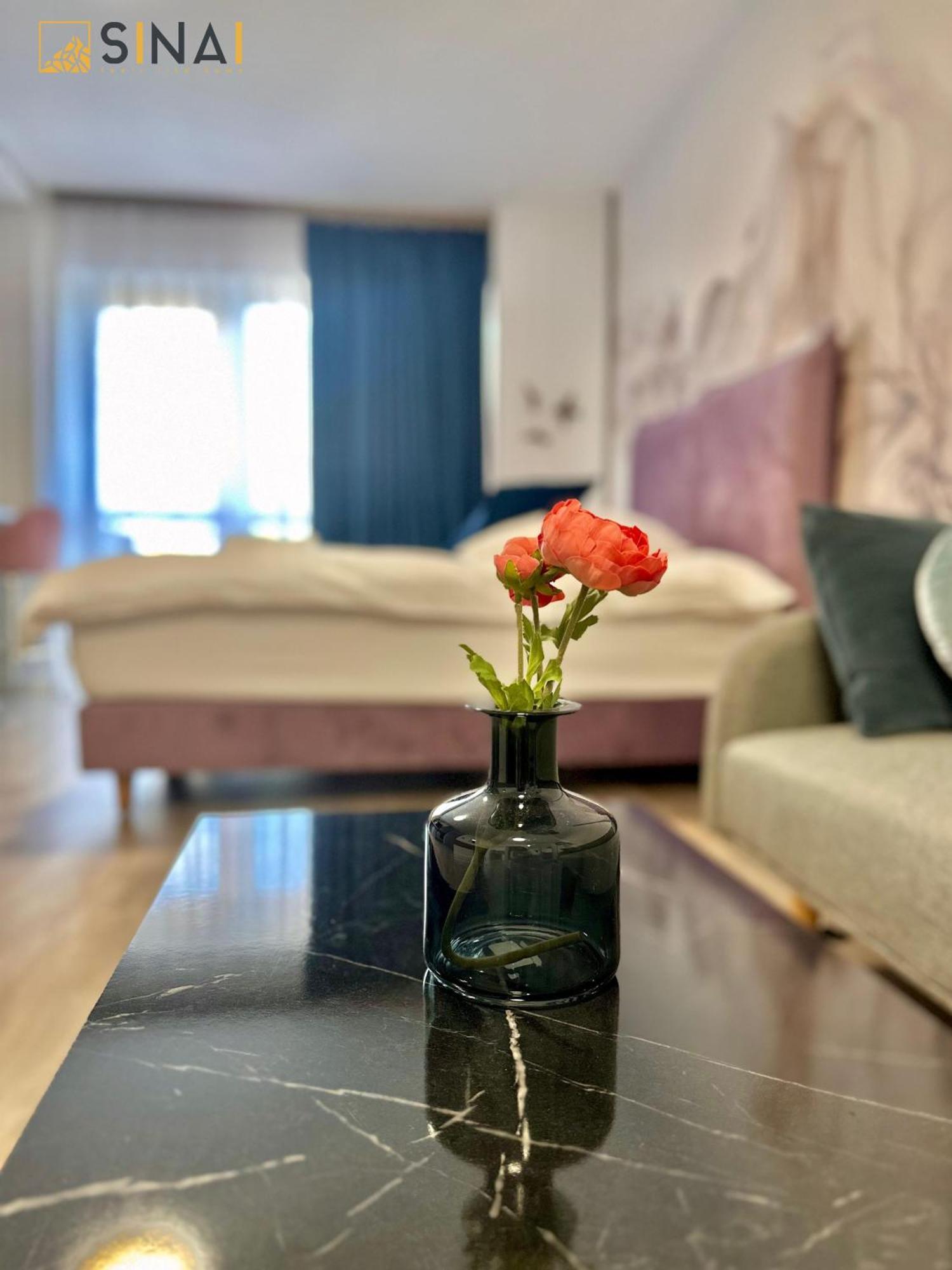 Sinai Aph Apartments 锡纳亚 外观 照片