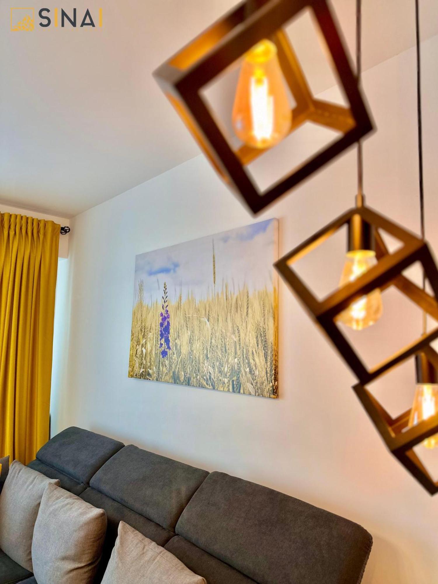 Sinai Aph Apartments 锡纳亚 外观 照片